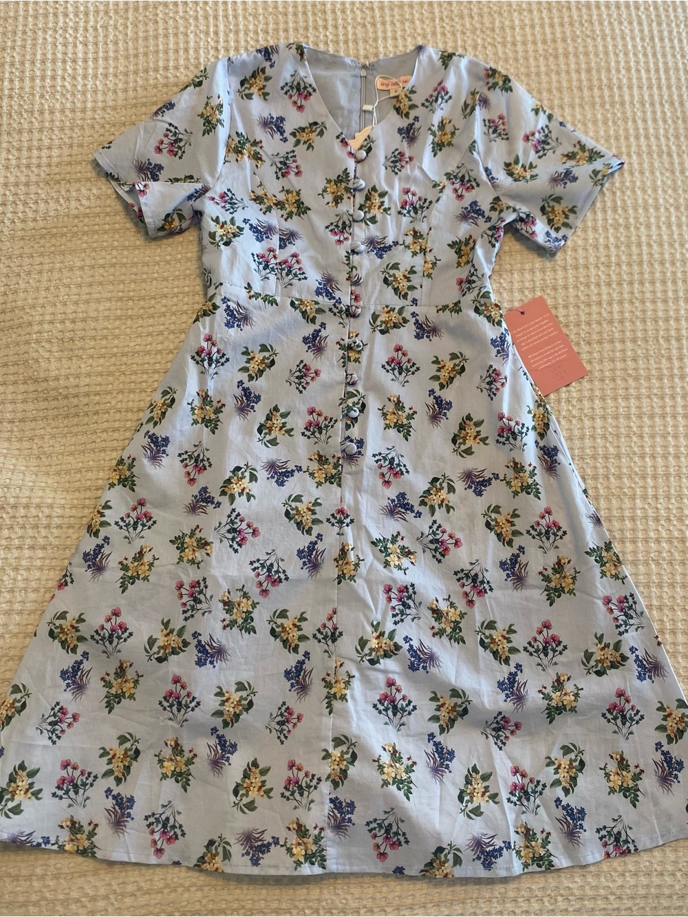 Ivy City Co. Mini Allie Dress in Blue Floral Button-Front Dress